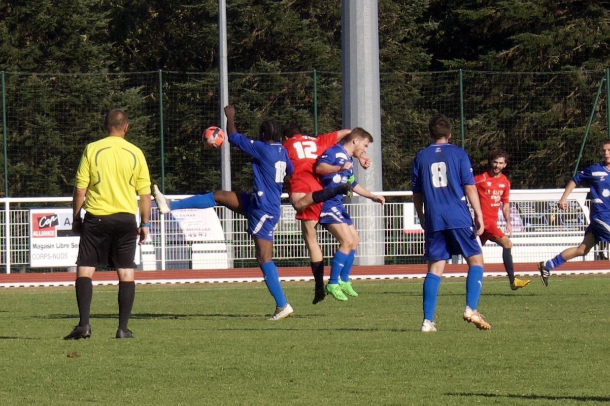 Image de diapositive