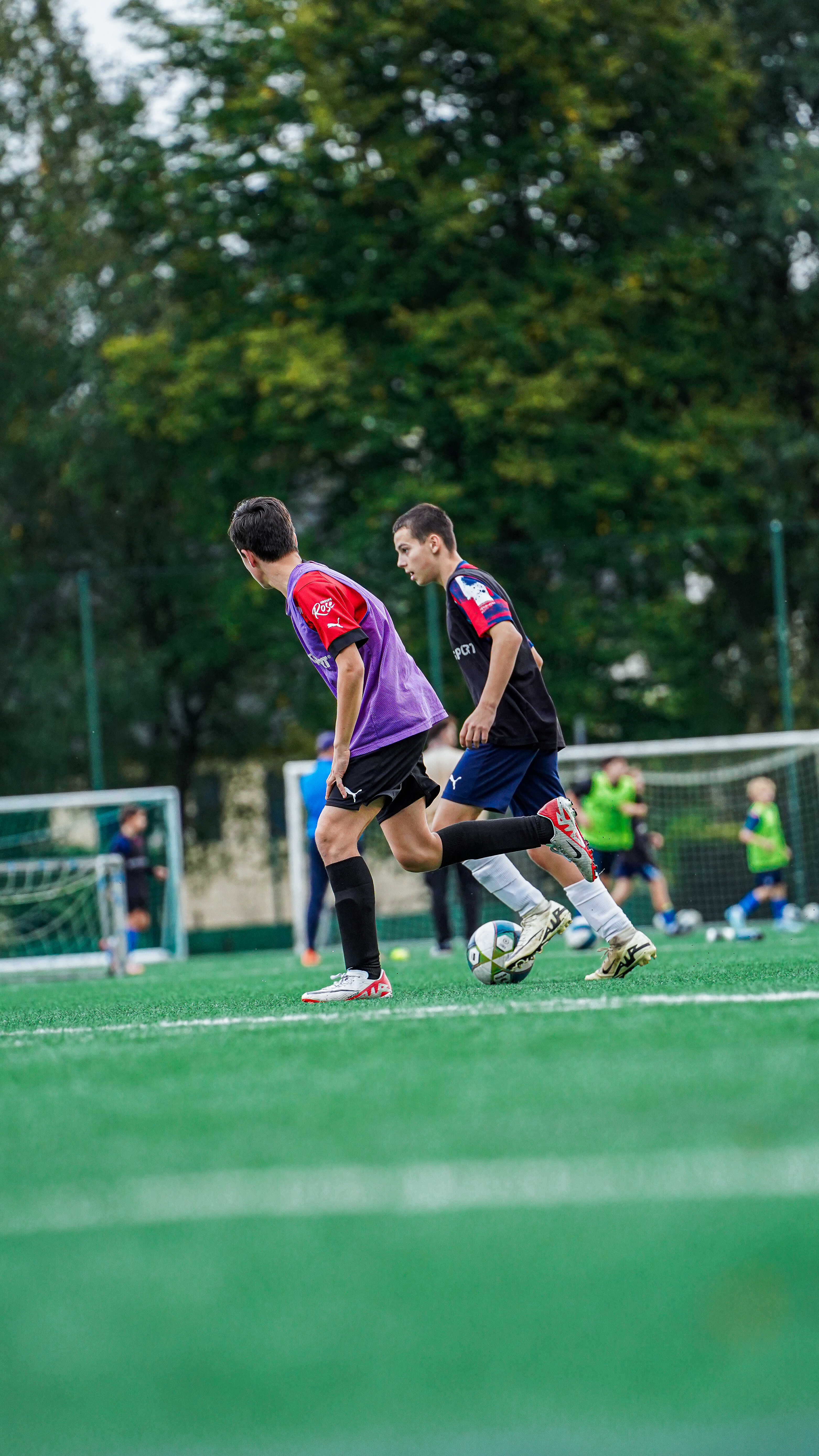 Image de diapositive