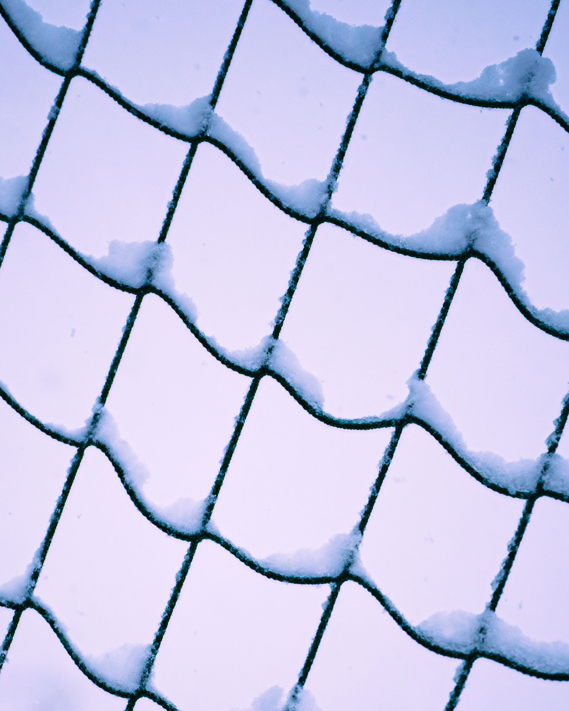 Image de diapositive